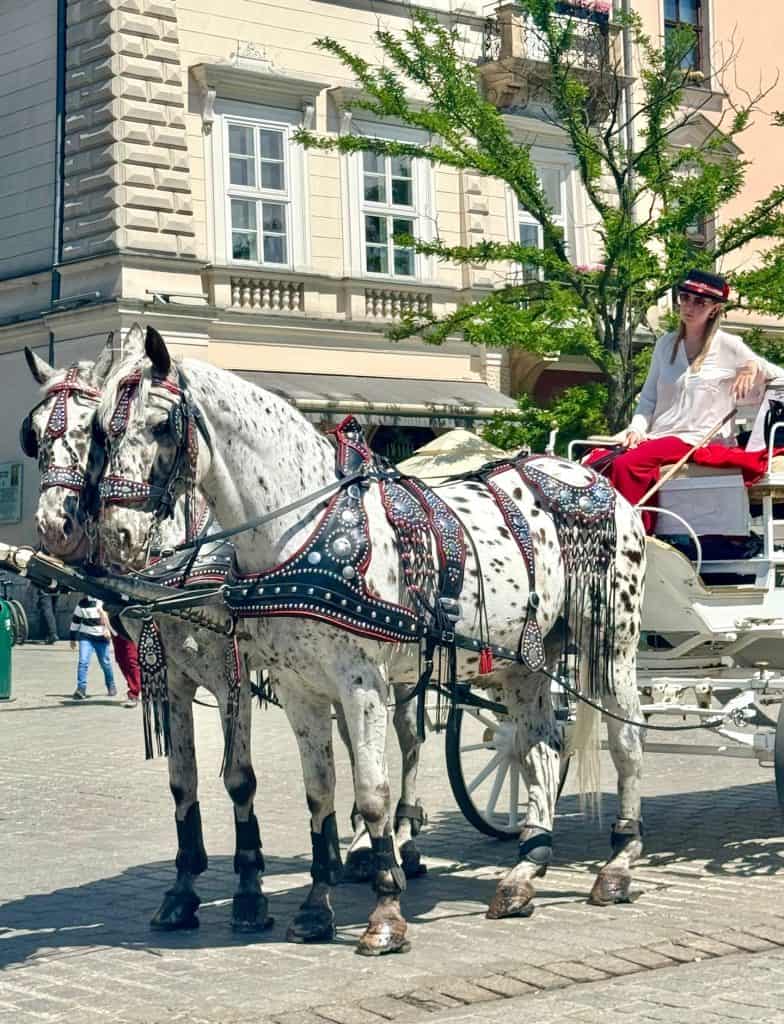 Two horses with ornate harnesses pulling a white carriage in Krakow's main square, with a person sitting in the carriage.